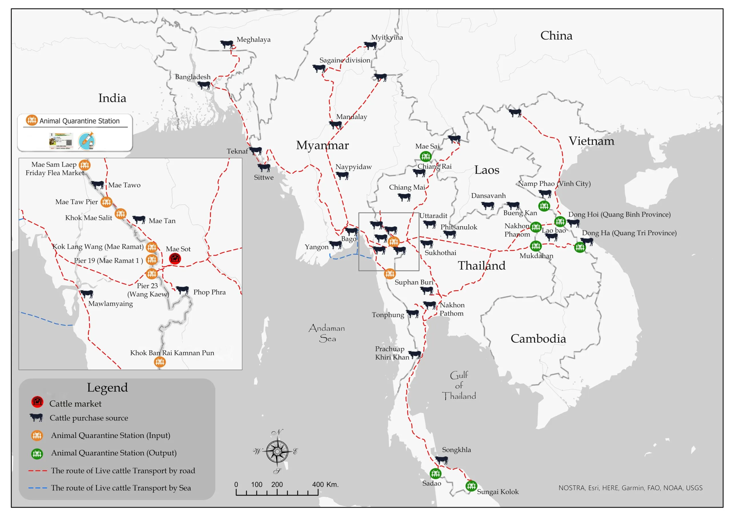 Hand-drawn map tracing cattle trading routes across Bangladesh, Myanmar, Thailand, Vietnam and southern China, with quarantine and fattening stations marked.